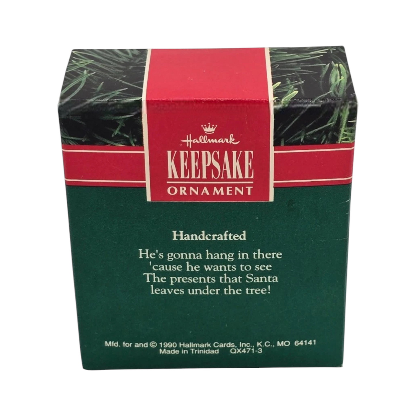 1990 Hang in There (Raccoon)