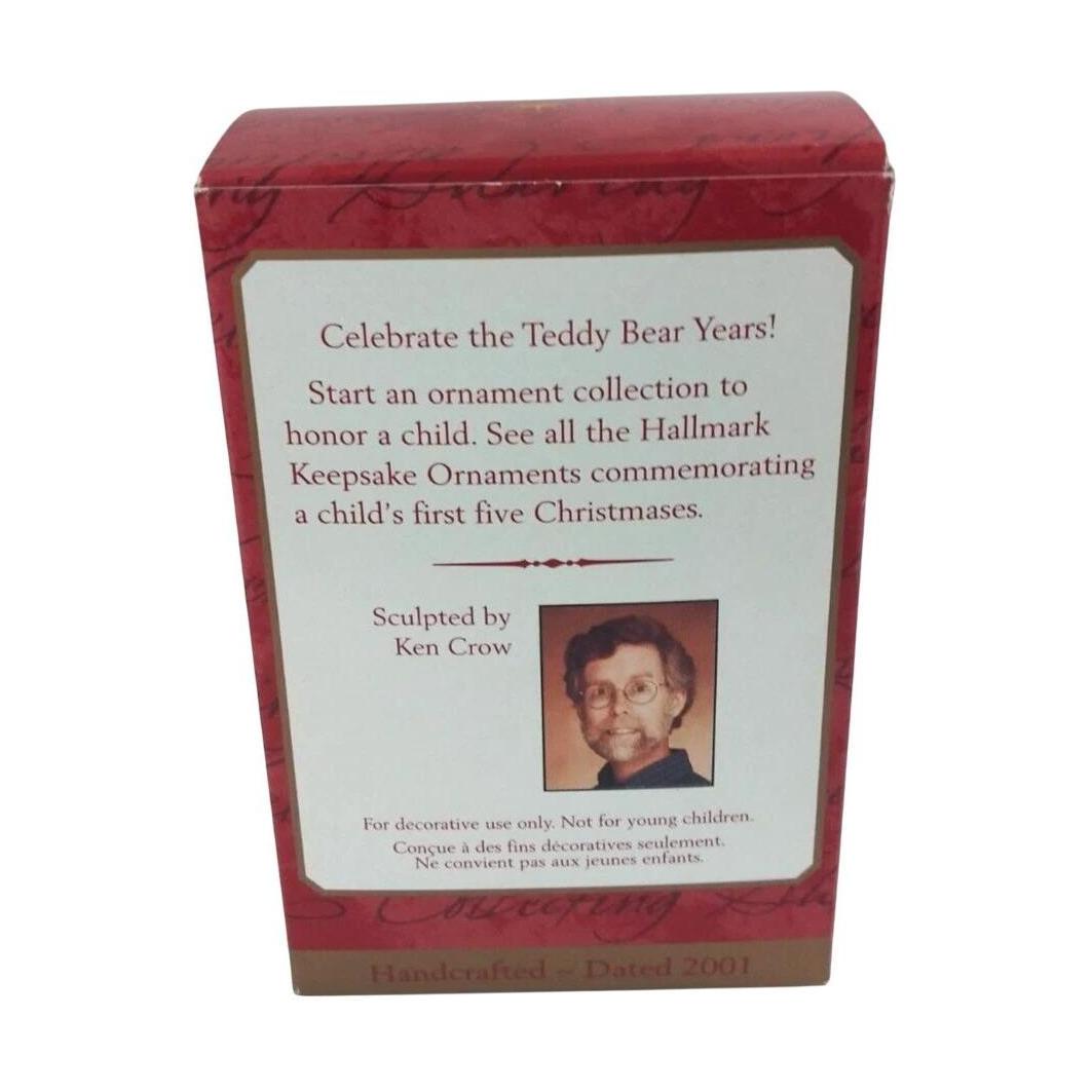1996 Child's Fifth Christmas Hallmark Ornament (Child's Age Collection) QX8395