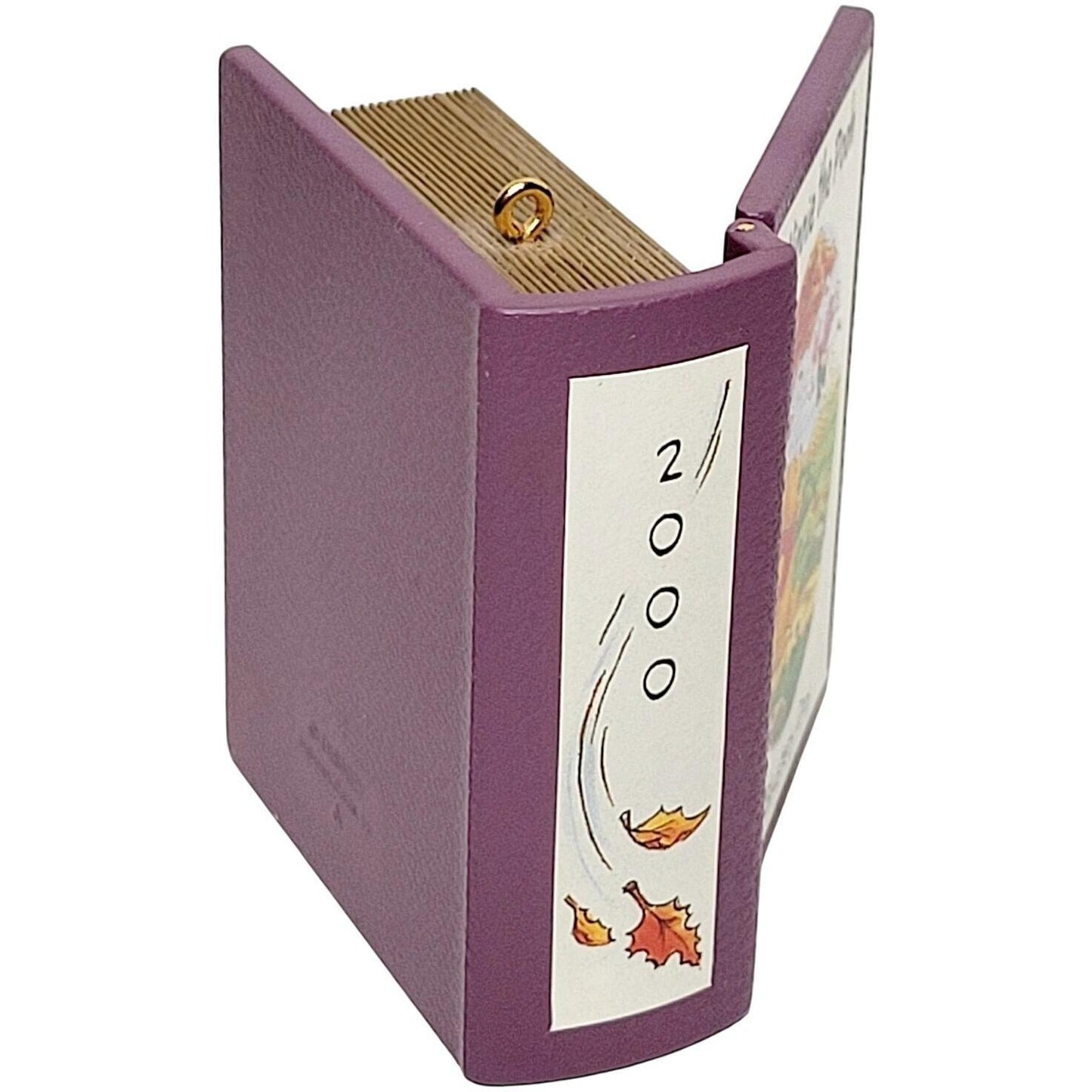 2000 A Blustery Day Hallmark Ornament (Winnie the Pooh) QXD4021