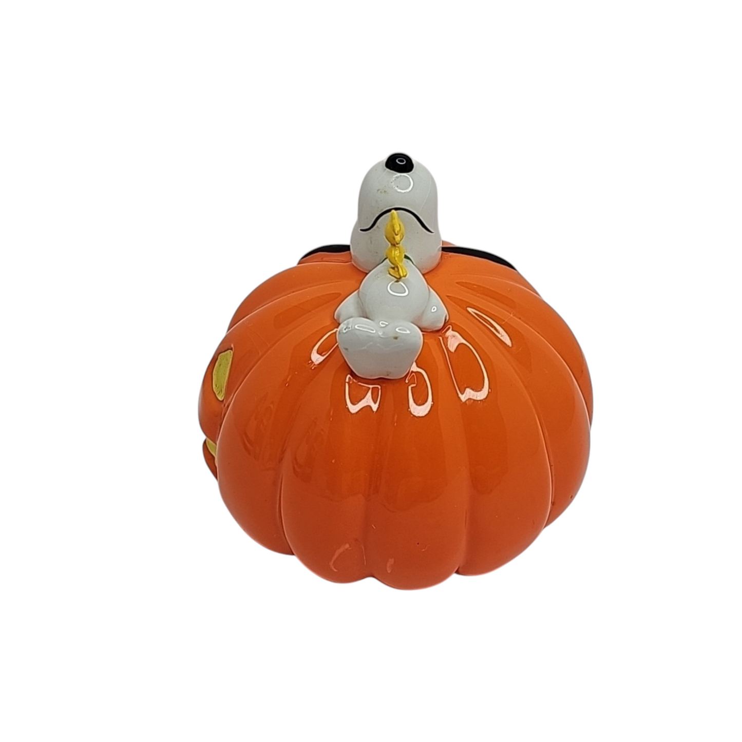 2007 Snoopy's Pumpkin Department 56 F3112071 Image5