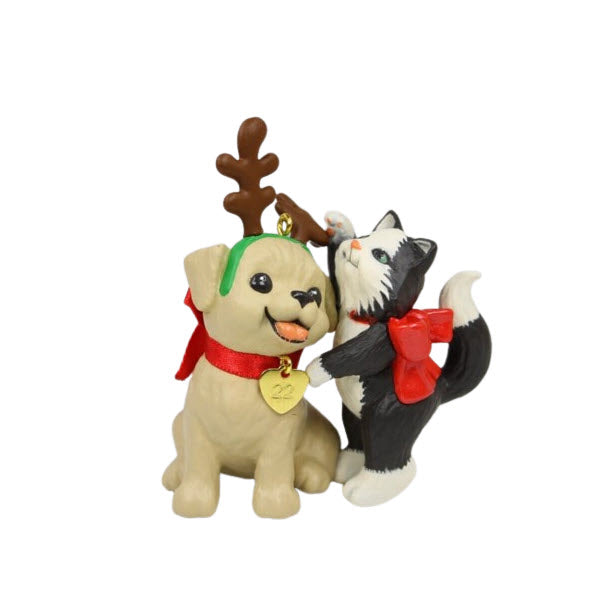 2022 Spruced-Up Pets Hallmark Ornament (Kitten) QXE3293