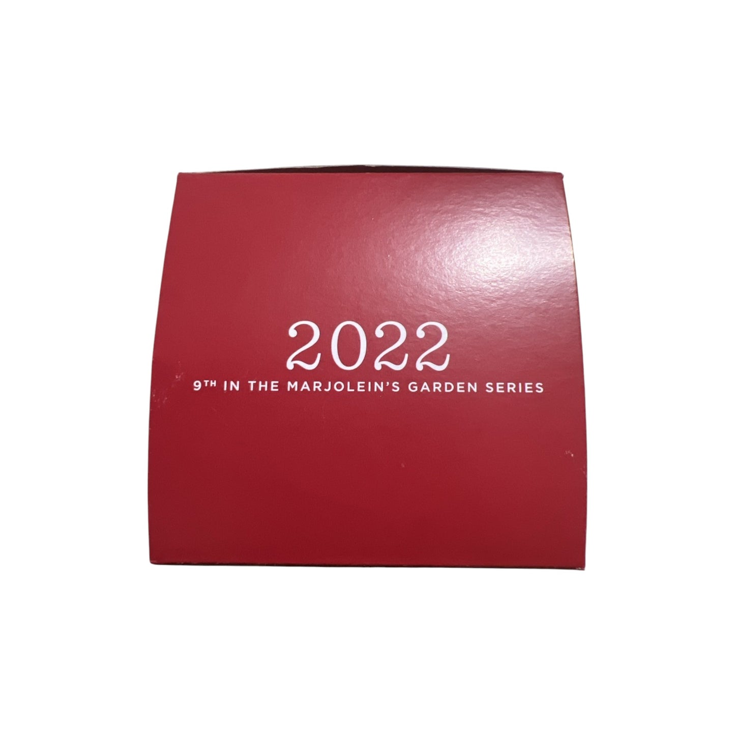 2022 Winter Roost (Marjolein Bastin)