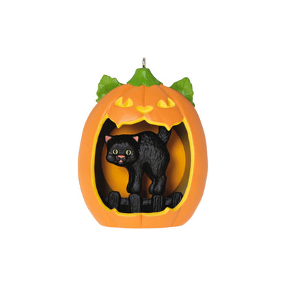 2023 Happy Halloween!