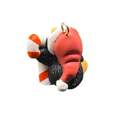 1989 Candy Cane Hallmark Ornament (Penguin Pal) QXM5602