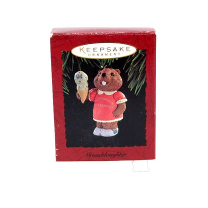 1994 GrandDaughter Hallmark Ornament (GrandDaughter) QX5523
