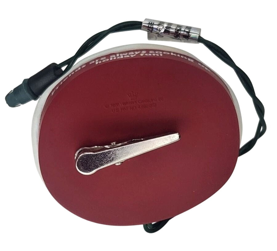 1995 Friends Share Fun Hallmark Ornament (Clip-On Flickering Light) QLX7349