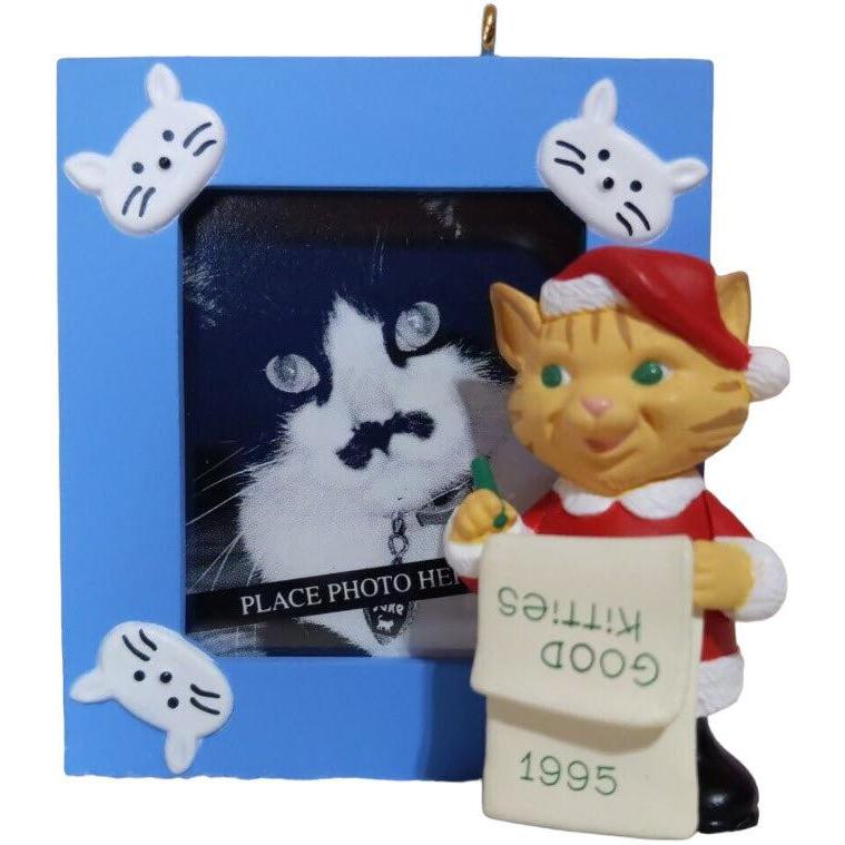 1995 Special Cat Hallmark Ornament (Photo Holder) QX5717