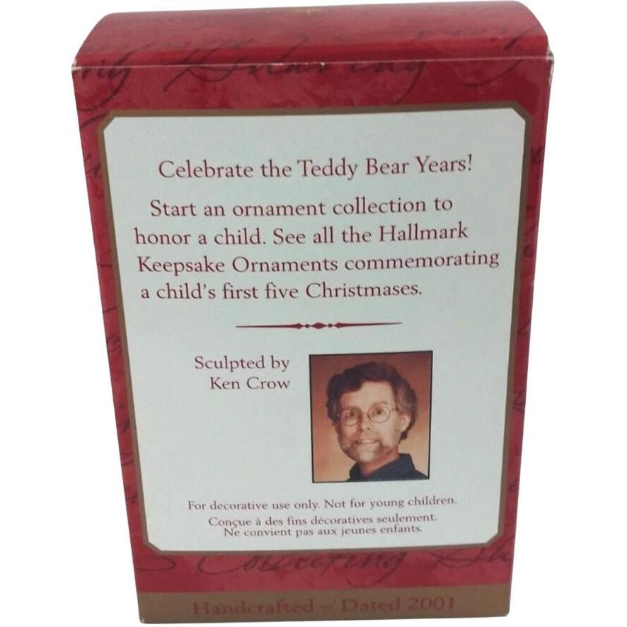 1996 Child's Fifth Christmas Hallmark Ornament (Child's Age Collection) QX8395