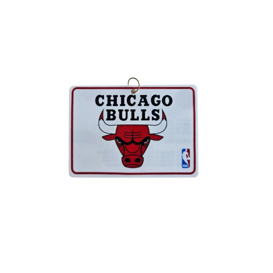 1997 Chicago Bulls (NBA)