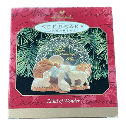 1999 Child of Wonder Hallmark Ornament (Religious) QX6817