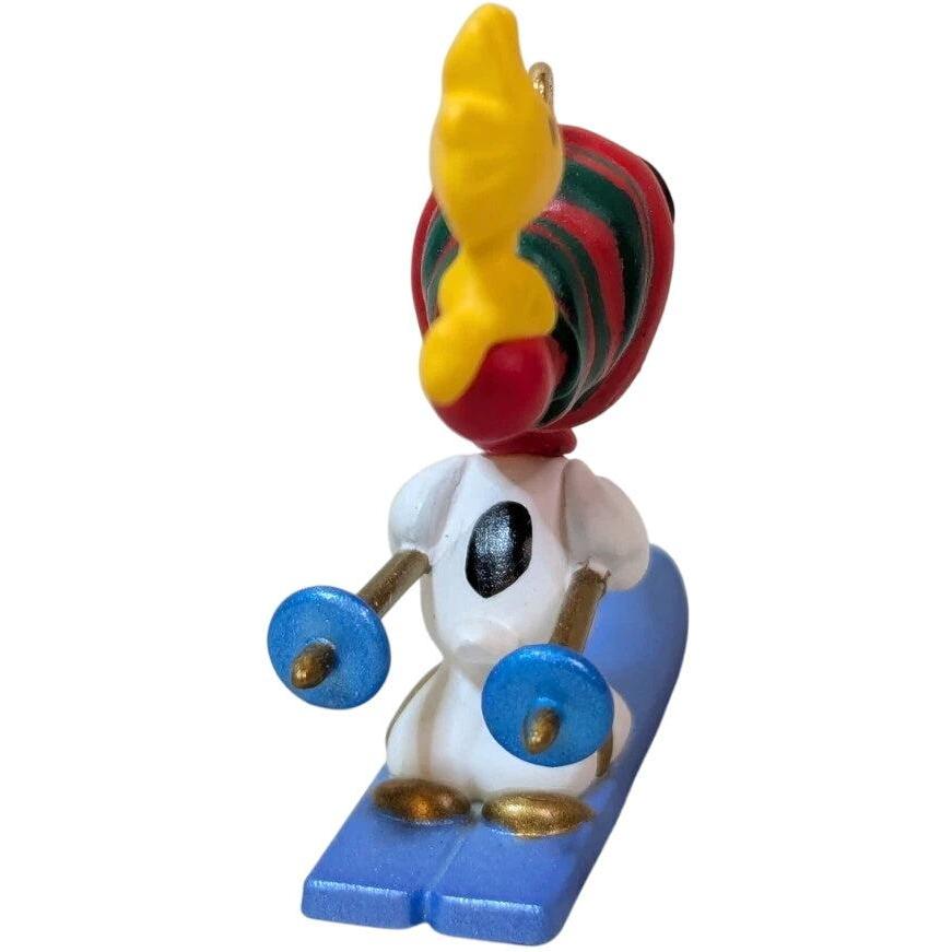 1999 Winter Fun With Snoopy Hallmark Ornament (Winter Fun with Snoopy) QXM4559