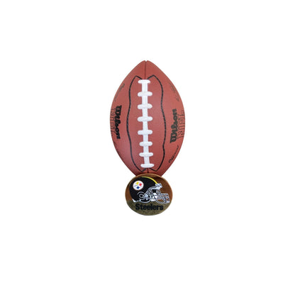 2000 Pittsburgh Steelers (NFL)