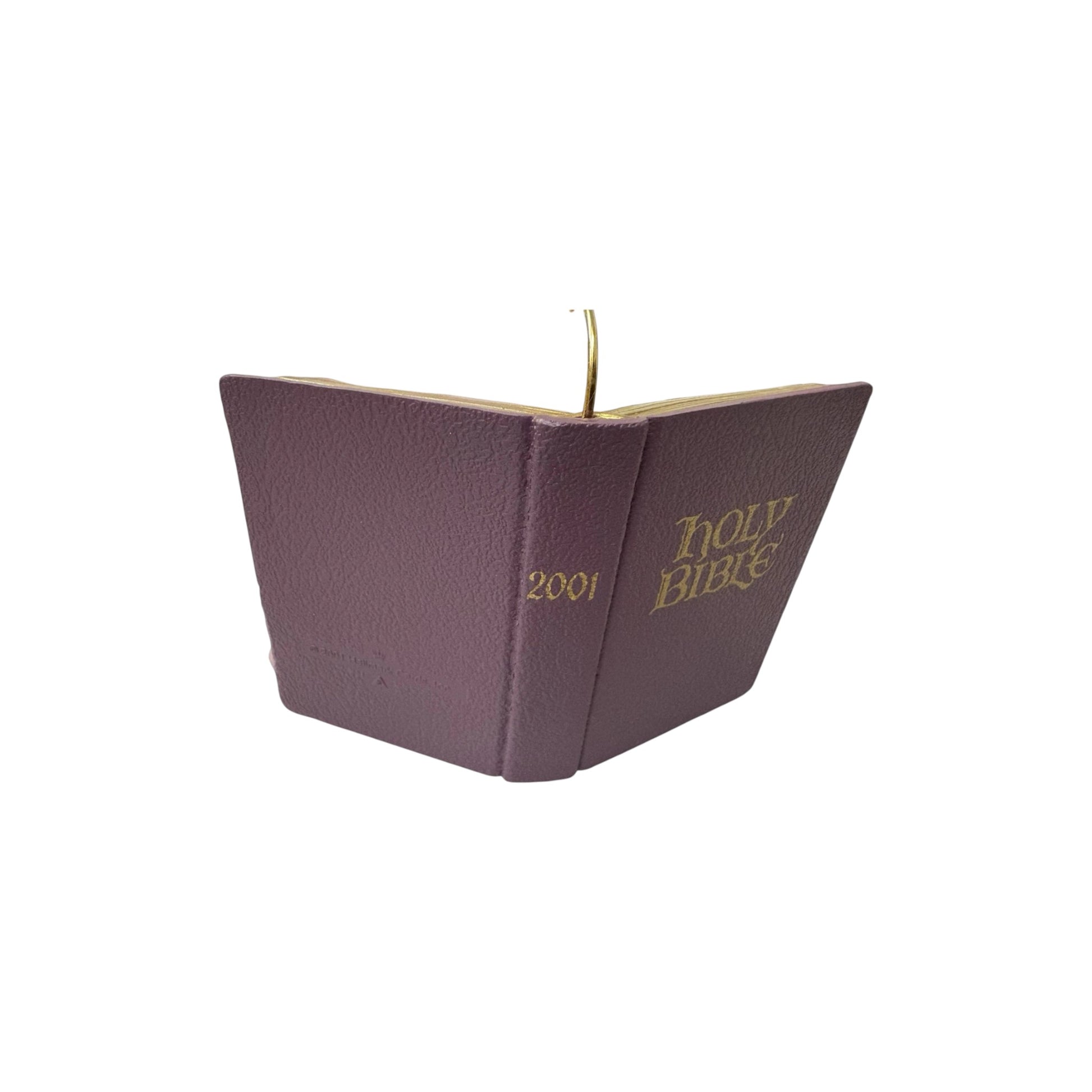 2001 Daniel in the Lions' Den Hallmark Ornament (Favorite Bible Stories) QX8122 Image3