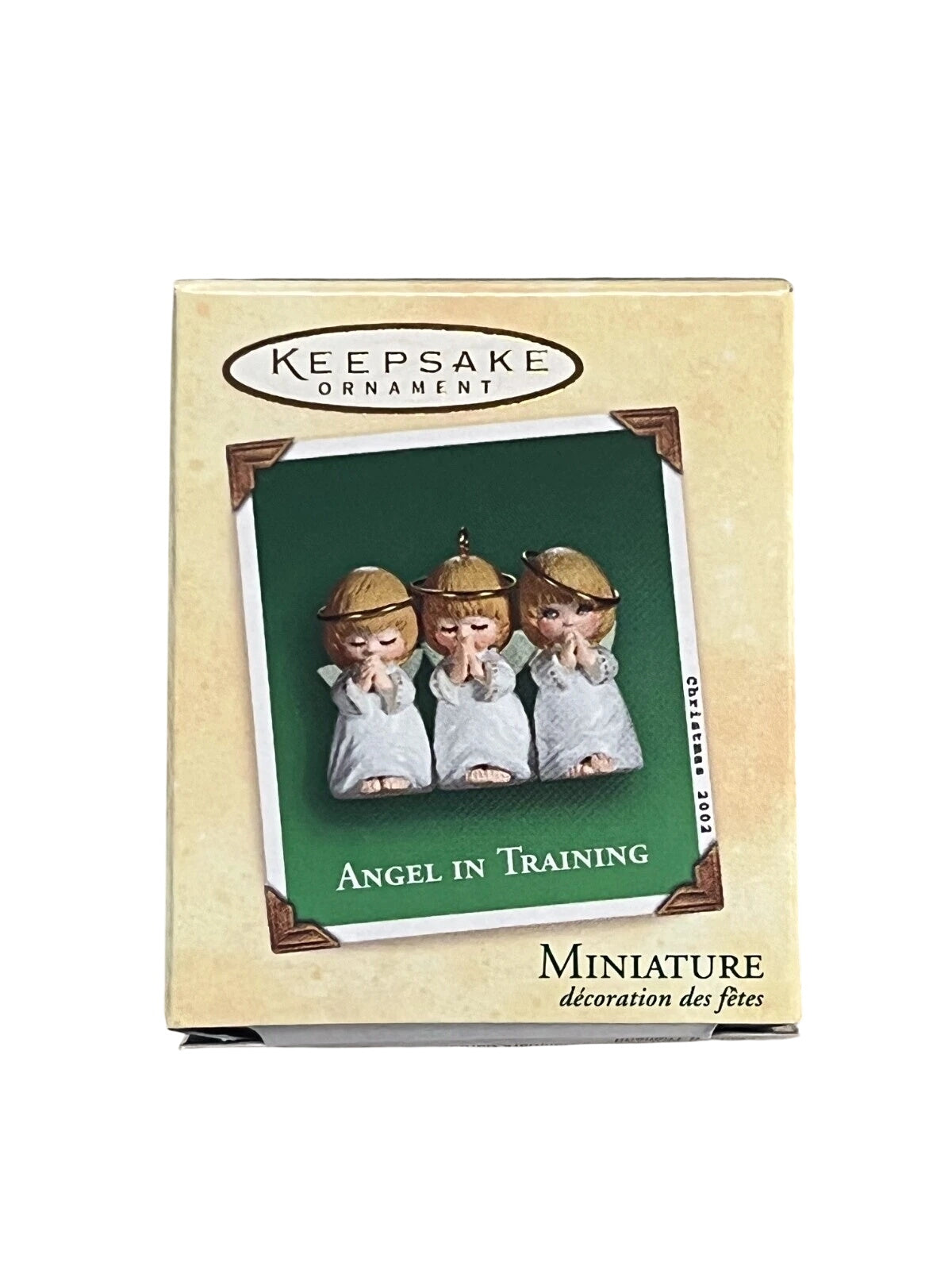 2002 Angel In Training Hallmark Ornament (Angel) QXM4403