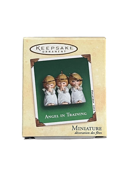 2002 Angel In Training Hallmark Ornament (Angel) QXM4403