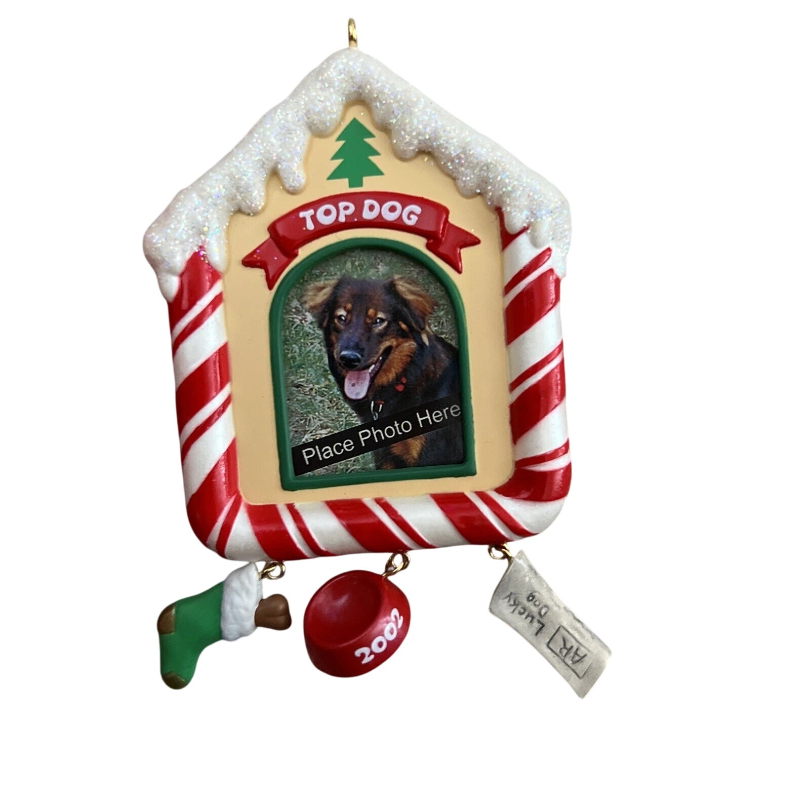 2002 Special Dog Hallmark Ornament (Photo Holder) QX8716
