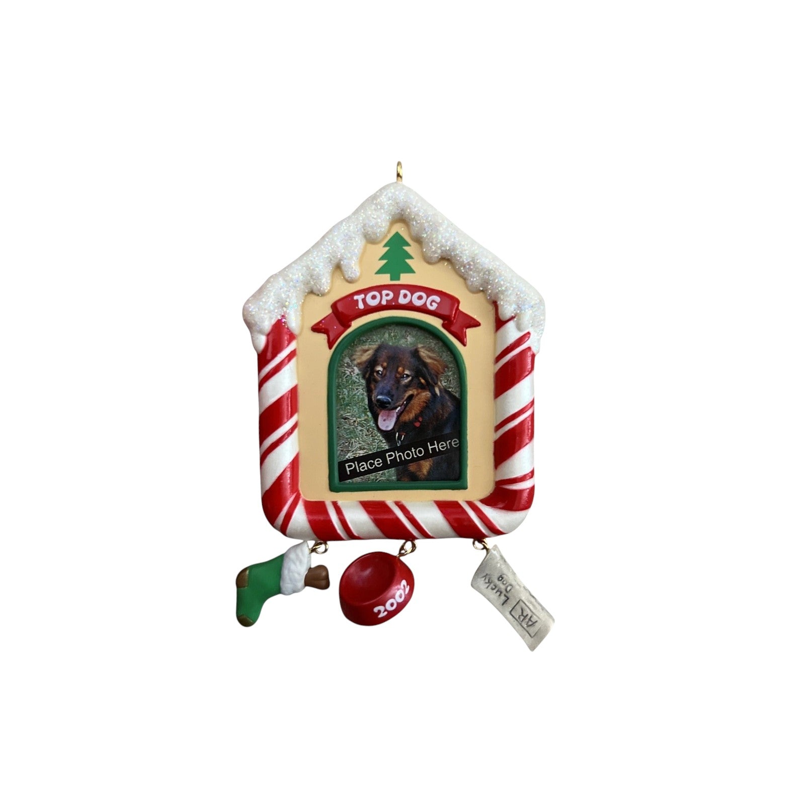 2002 Special Dog Hallmark Ornament (Photo Holder) QX8716 Image1