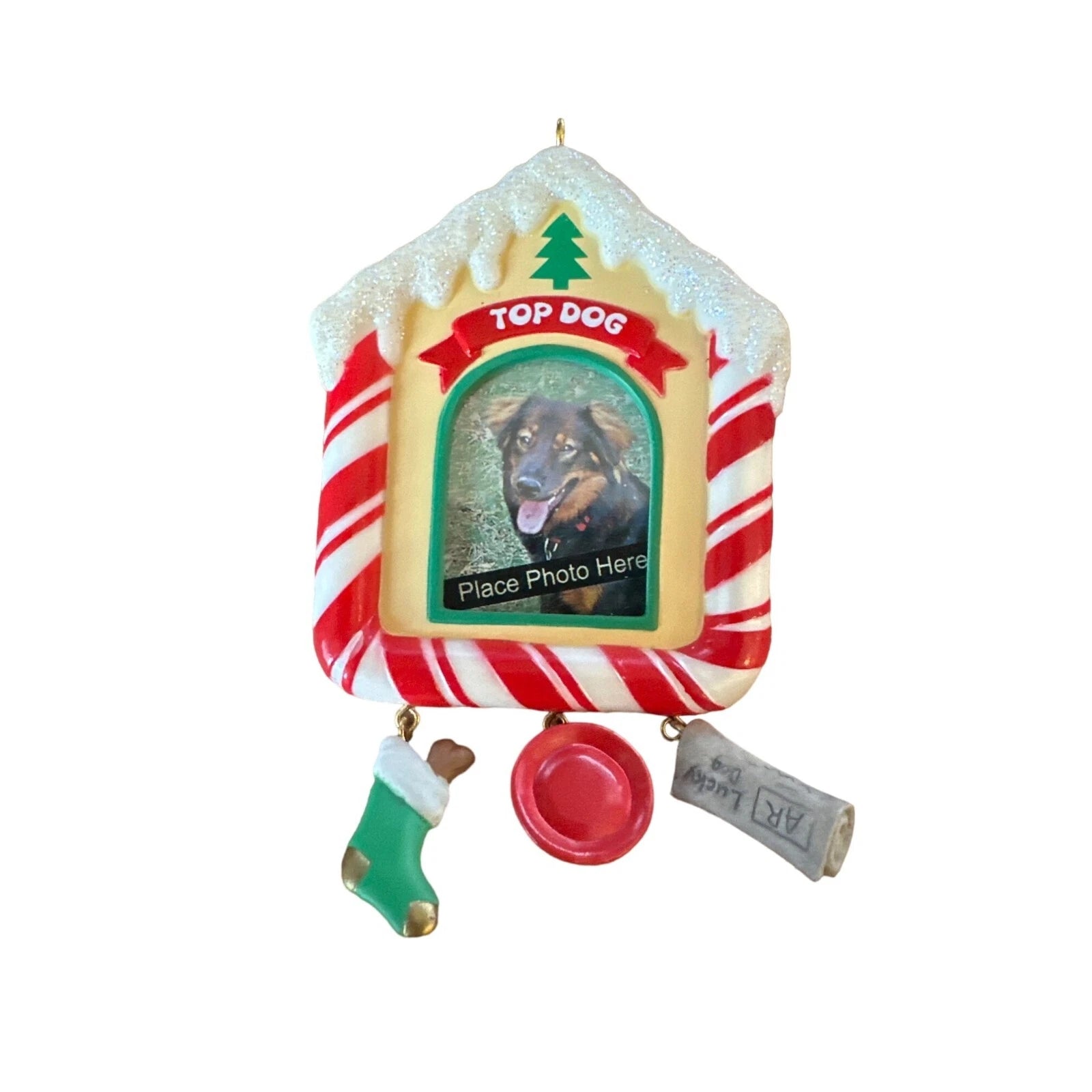 2002 Special Dog Hallmark Ornament (Photo Holder) QX8716