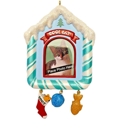 2002 Special Cat Hallmark Ornament (Photo Holder) QX2863