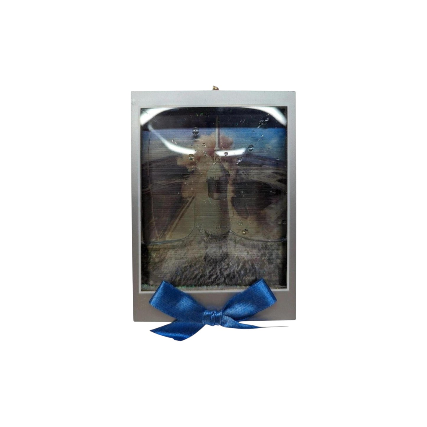 2004 LIFE on the Moon - Water Globe Carlton Cards Ornaments (Books) by Carlton Cards CXOR-103L Image4
