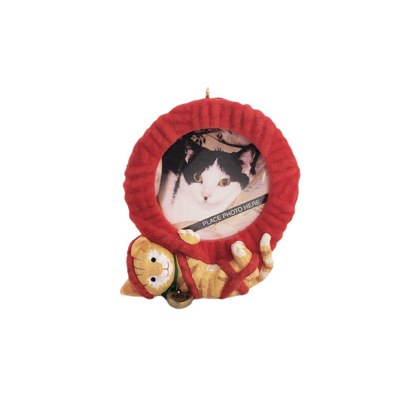 2004 Special Cat Hallmark Ornament (Photo Holder) QXG5591