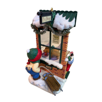 2005 Pet Shop (Christmas Window)