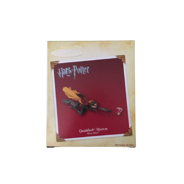 2005 Quidditch Match (Harry Potter)