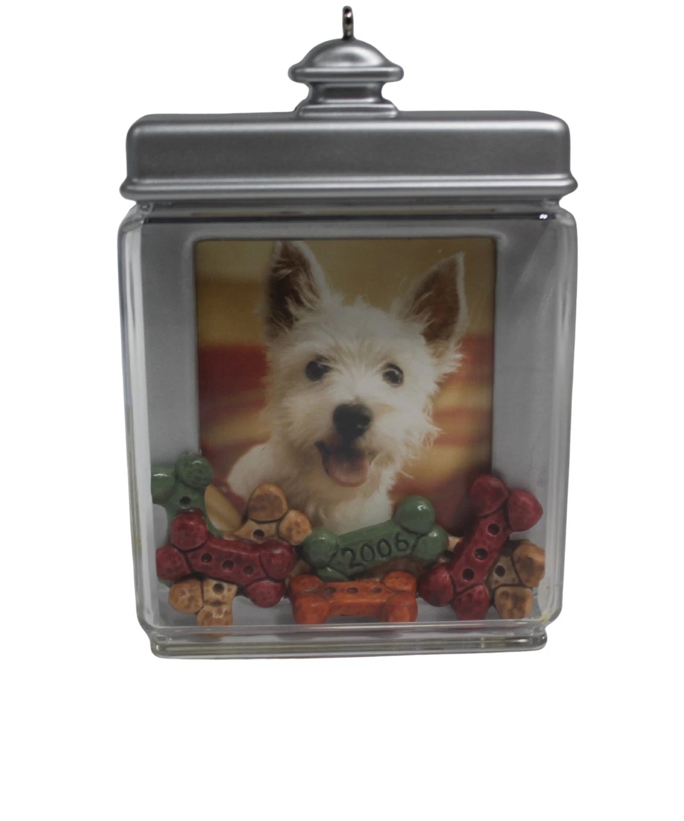2006 Special Dog Hallmark Ornament (Photo Holder) QXG2966