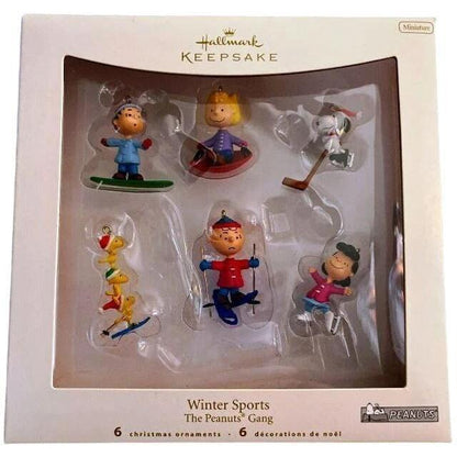 2007 Winter Sports Hallmark Ornament (Peanuts) QXM8149
