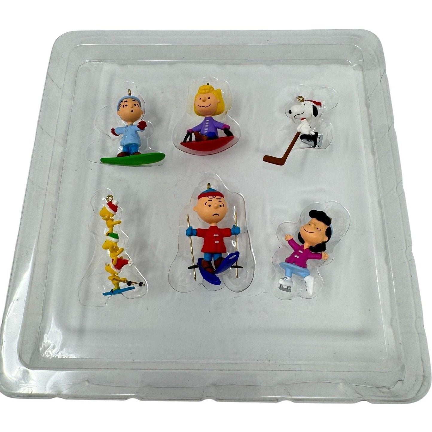 2007 Winter Sports Hallmark Ornament (Peanuts) QXM8149