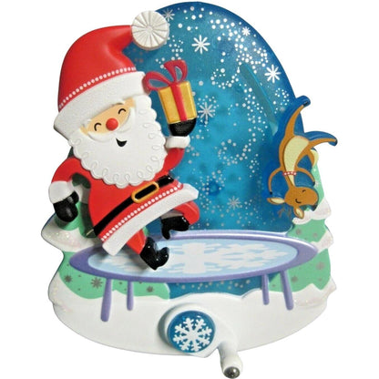 2008 Bouncin' Backyard Boogie Hallmark Ornament (Spin-A-Majigs) QP1111