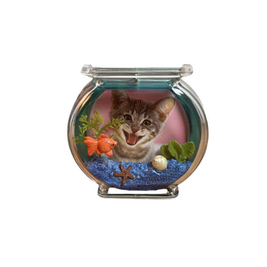 2008 The Curious Kitty Hallmark Ornament (Kitty) QXG6361