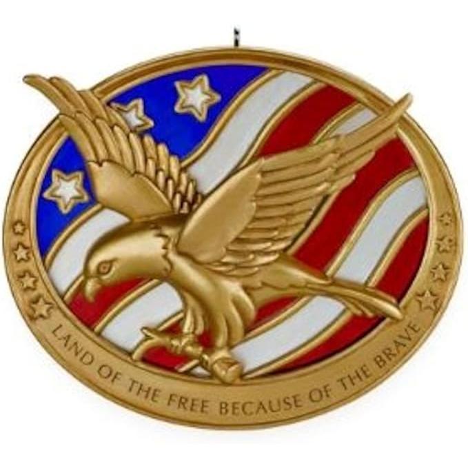 QXG6652 2009 Because of the Brave (Flag) Image1