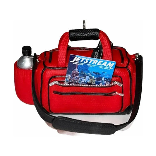 2009 Packed for Fun Hallmark Ornament (Travel) QXG6615 Image1