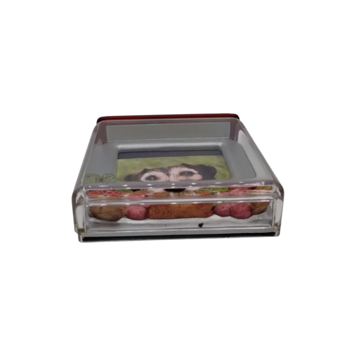 2009 Special Dog (Photo Holder) Hallmark Ornament QXG6441 Image7