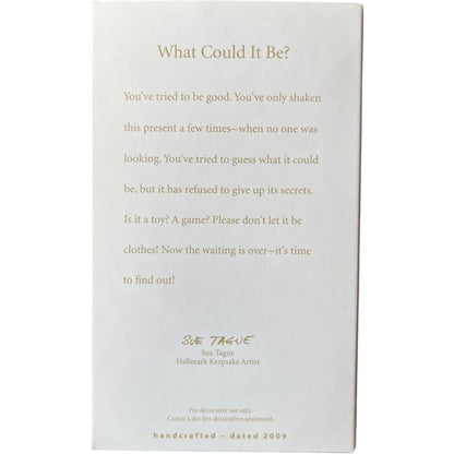 2009 What Could It Be? Hallmark Ornament (Children) QXG7581