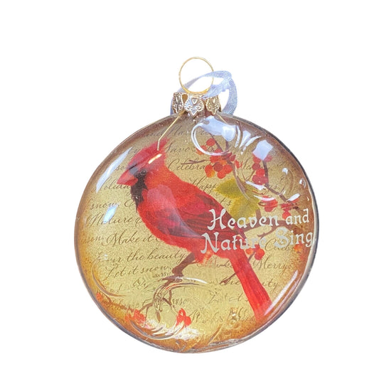 2010 Cardinal Song (Bird)