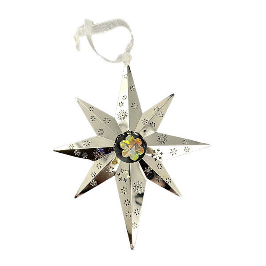 2010 Christmas Star (Snowflake)