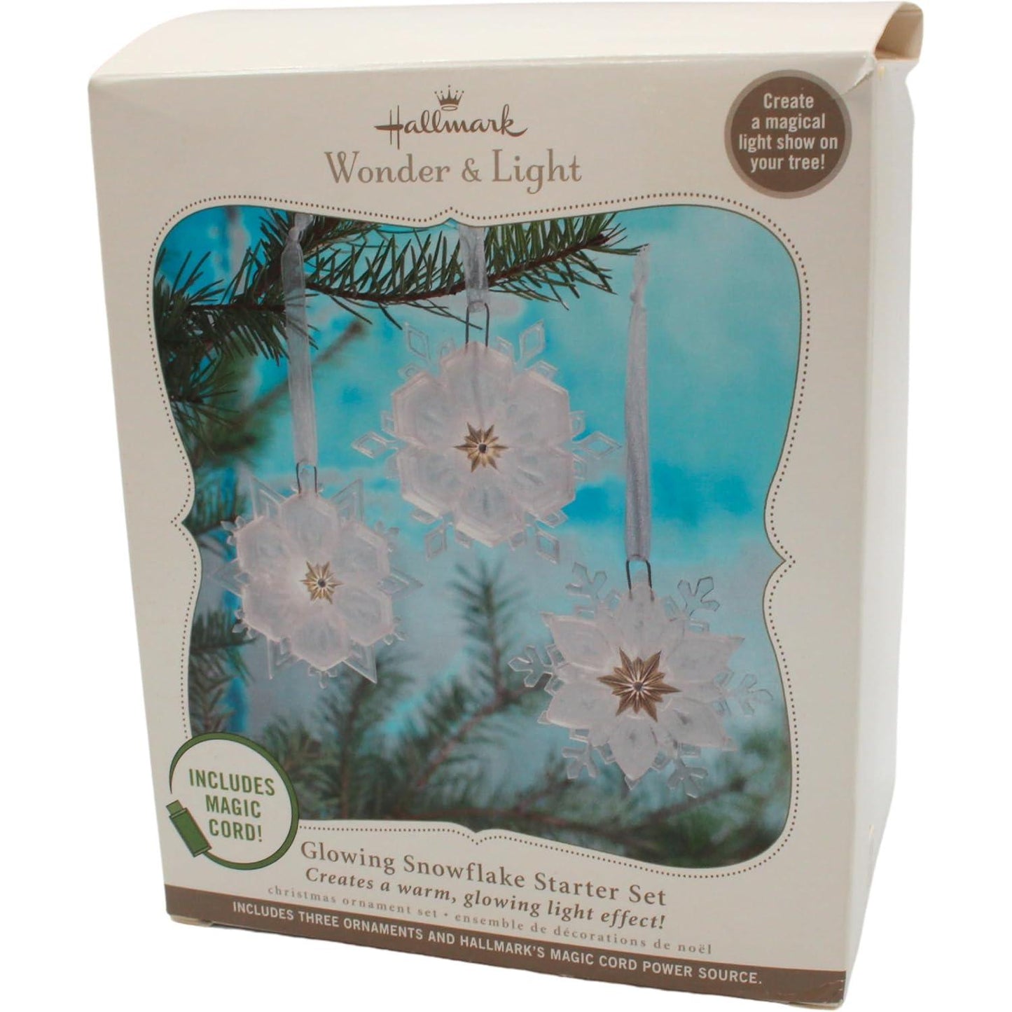 2010 Glowing Snowflake Starter Set Hallmark Ornament (Wonder and Light) QXG3626