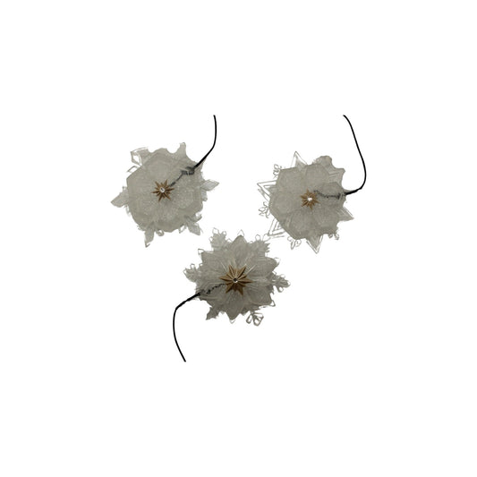 2010 Glowing Snowflake Starter Set Hallmark Ornament (Wonder and Light) QXG3626 Image1