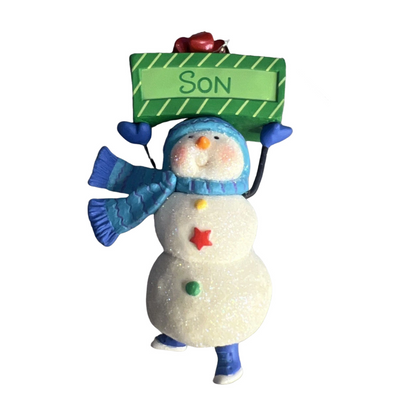 2010 One Fun Son Hallmark Ornament (Family) QXG7033 Image1