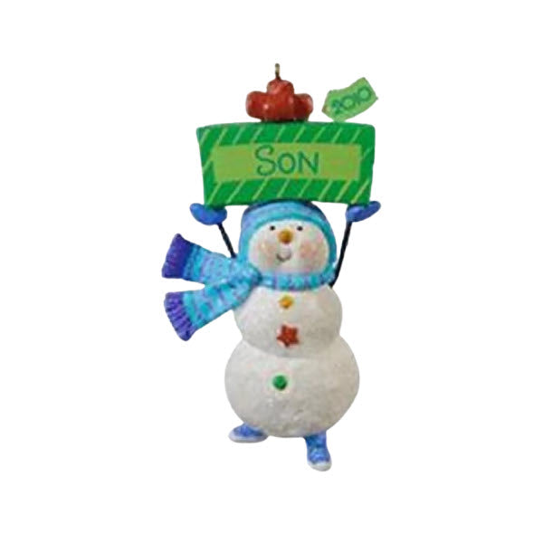 2010 One Fun Son Hallmark Ornament (Family) QXG7033