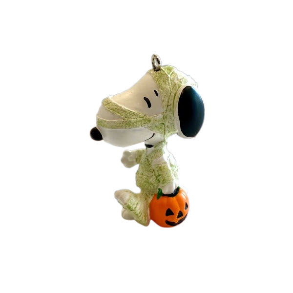 2010 Treats for Snoopy Hallmark Ornament (Peanuts) QFO4643