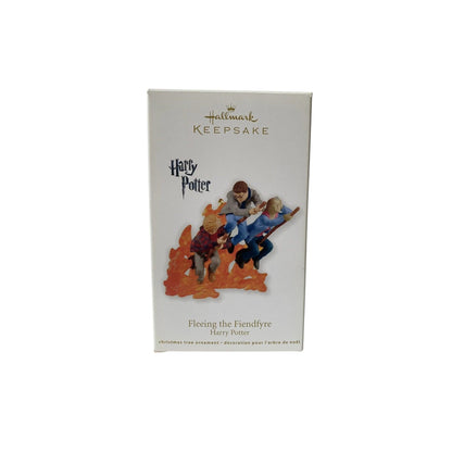 2011 Fleeing the Fiendfyre (Harry Potter)