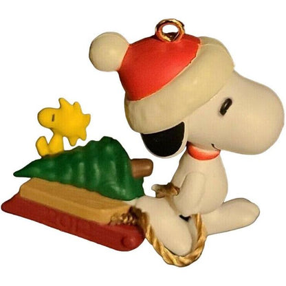 2012 Winter Fun with Snoopy Hallmark Ornament (Winter Fun with Snoopy) QXM9001