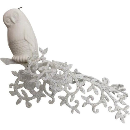 2013 A World of Wonder (Snowy Owl)