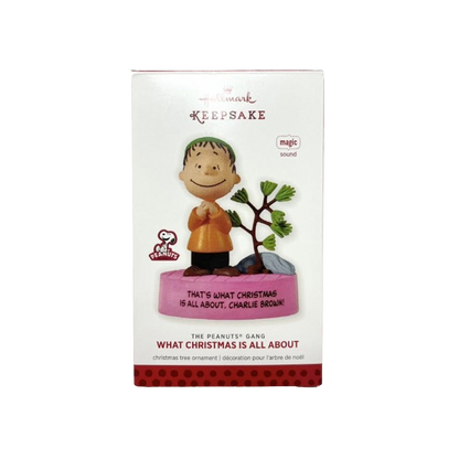 2013 What Christmas Is All About (Peanuts)