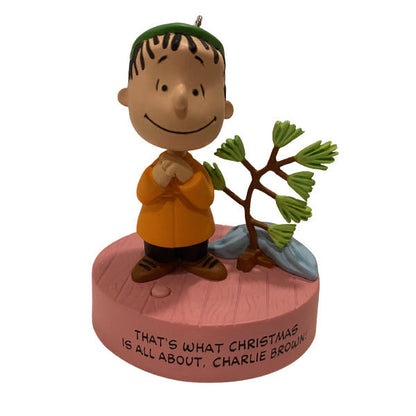 2013 What Christmas Is All About (Peanuts)