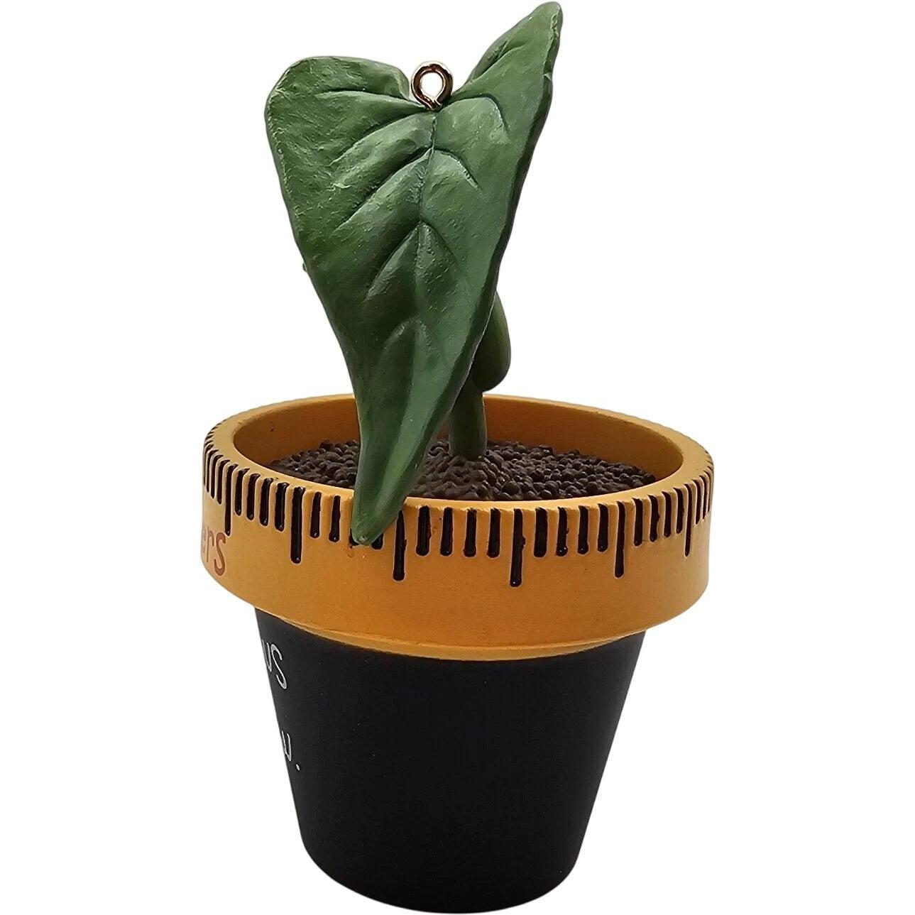 2014 Thank You, Teacher Hallmark Ornament (Teacher) QGO1473