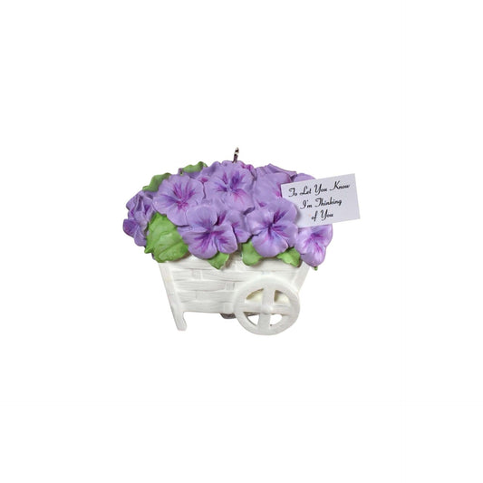 2014 Pansies Stand for Thoughts (Flower)